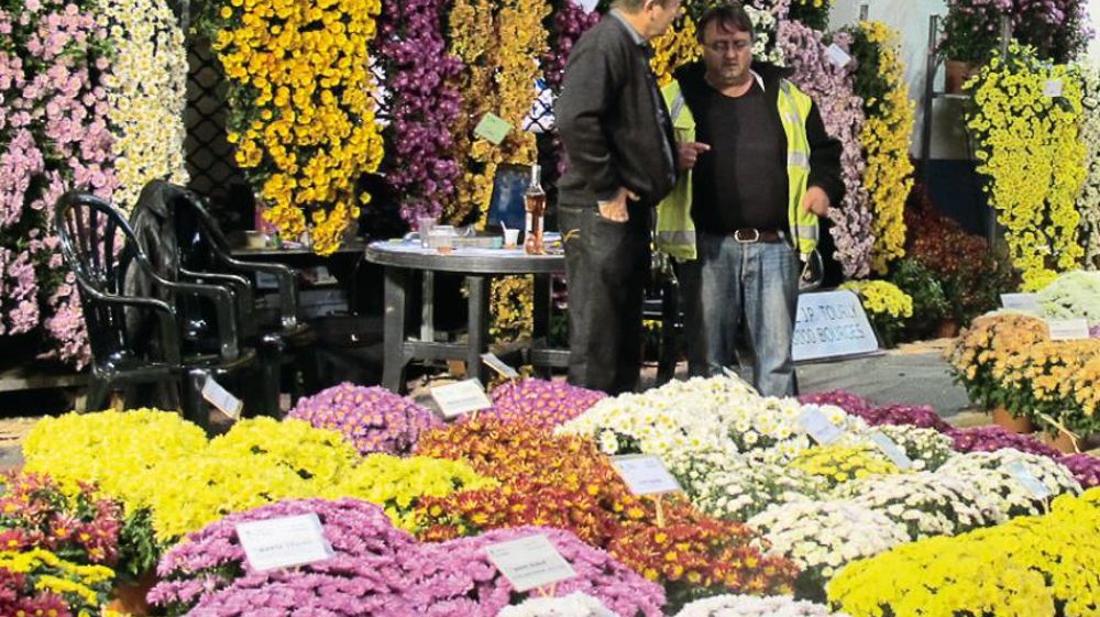 Tous les deux ans, les obtenteurs multiplicateurs organisent un salon d'automne exclusivement professionnel, comme ici à Aubagne (13) en 2011. Ils invitent également des producteurs de jeunes plants horticoles et des fournisseurs d'intrants.