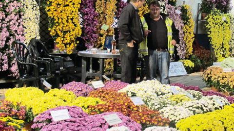 Tous les deux ans, les obtenteurs multiplicateurs organisent un salon d'automne exclusivement professionnel, comme ici à Aubagne (13) en 2011. Ils invitent également des producteurs de jeunes plants horticoles et des fournisseurs d'intrants.