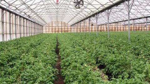 PHOTO : VALÉRIE VIDRIL