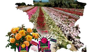 Répartis sur tout le territoire, les producteurs du réseau Verdia font valoir leur ancrage régional. Répartis sur tout le territoire, les producteurs du réseau Verdia font valoir leur ancrage régional.