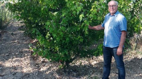 « Il faut être motivé pour reprendre une pépinière. C'est aussi une aventure relationnelle très enrichissante », assure Dominique Bonnardon, installé depuis 1995. PHOTO : CLAUDE THIERY