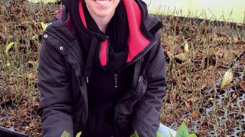 Au sein de La Forêt jeunes plants, Marie Leven s'occupe du pilotage phytosanitaire et de la qualité, des pieds-mères jusqu'à la multiplication des jeunes plants. « Un poste clé pour harmoniser les cultures », souligne son dirigeant, Thierry Browaeys.PHOTO : VALÉRIE VIDRIL