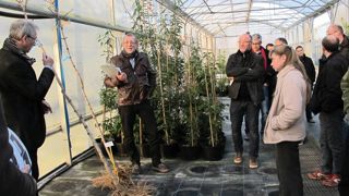 La station a présenté les résultats de ses essais sur l'évolution du système racinaire de différentes espèces ligneuses cultivées en hors-sol puis en pleine terre. La station a présenté les résultats de ses essais sur l'évolution du système racinaire de différentes espèces ligneuses cultivées en hors-sol puis en pleine terre.