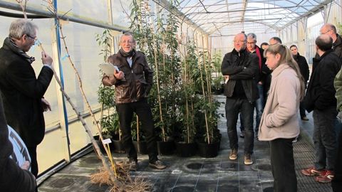 La station a présenté les résultats de ses essais sur l'évolution du système racinaire de différentes espèces ligneuses cultivées en hors-sol puis en pleine terre.