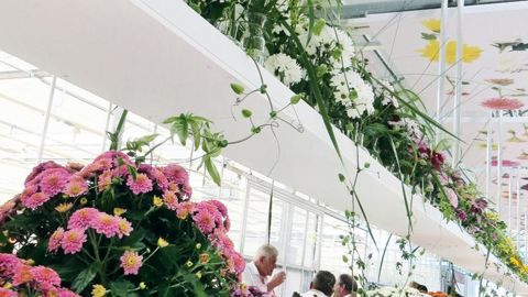 PHOTO : ODILE MAILLARD