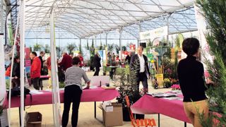 La pépinière du Fesc, à Vestric-et-Candiac (30), a accueilli le Rendez-vous d'automne organisé par BRL et Touchat. Elle regroupe sur 10 hectares plus de 500 espèces.