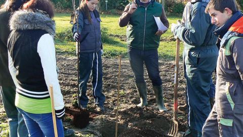 Le 27 novembre dernier, trente-six arbres regroupant trois des six espèces concernées par la démarche Label Rouge ont été plantés sur une parcelle en reconversion bio au lycée agricole de Montluçon-Larequille.PHOTO : EXCELLENCE VÉGÉTALE
