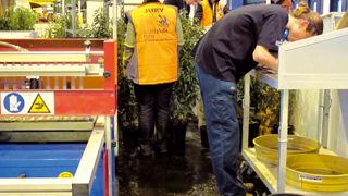 Les épreuves des Olympiades section « horticulture » seront déclinées en fonction des référentiels métiers.