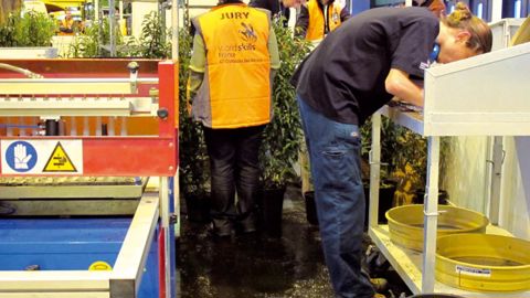 Les épreuves des Olympiades section « horticulture » seront déclinées en fonction des référentiels métiers.