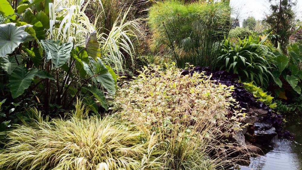 Le site des Petits-Prés, à Cézy, est un ovni dans le monde des jardins, né de la volonté hors norme de Thierry Floreau, son propriétaire, par ailleurs chef de culture au Gaec Baron.PHOTO : PHILIPPE GROLIER