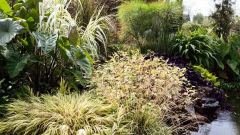 Le site des Petits-Prés, à Cézy, est un ovni dans le monde des jardins, né de la volonté hors norme de Thierry Floreau, son propriétaire, par ailleurs chef de culture au Gaec Baron.PHOTO : PHILIPPE GROLIER