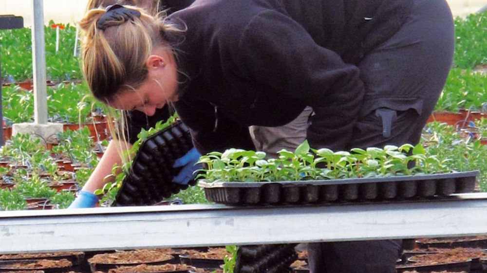 Les métiers de l'horticulture et du paysage comportent de nombreuses situations à risques : positions non ergonomiques, gestes répétitifs, port de charges lourdes, travail en hauteur, conduite sur machines avec vibrations... Les métiers de l'horticulture et du paysage comportent de nombreuses situations à risques : positions non ergonomiques, gestes répétitifs, port de charges lourdes, travail en hauteur, conduite sur machines avec vibrations...