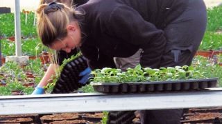 Les métiers de l'horticulture et du paysage comportent de nombreuses situations à risques : positions non ergonomiques, gestes répétitifs, port de charges lourdes, travail en hauteur, conduite sur machines avec vibrations... Les métiers de l'horticulture et du paysage comportent de nombreuses situations à risques : positions non ergonomiques, gestes répétitifs, port de charges lourdes, travail en hauteur, conduite sur machines avec vibrations...