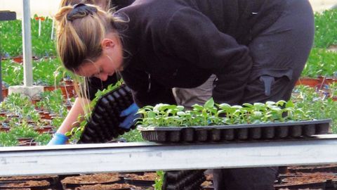 Les métiers de l'horticulture et du paysage comportent de nombreuses situations à risques : positions non ergonomiques, gestes répétitifs, port de charges lourdes, travail en hauteur, conduite sur machines avec vibrations...