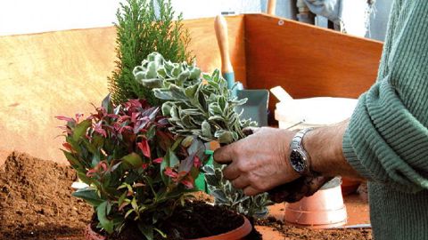 PHOTO : ODILE MAILLARD