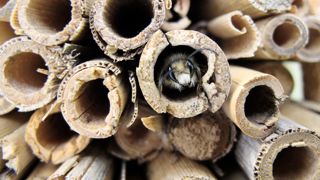 Les fonctionnalités écologiques d'un aménagement paysager doivent s'étudier dès la conception, en réunissant autour d'une table paysagiste, écologue, fournisseurs... Les fonctionnalités écologiques d'un aménagement paysager doivent s'étudier dès la conception, en réunissant autour d'une table paysagiste, écologue, fournisseurs...