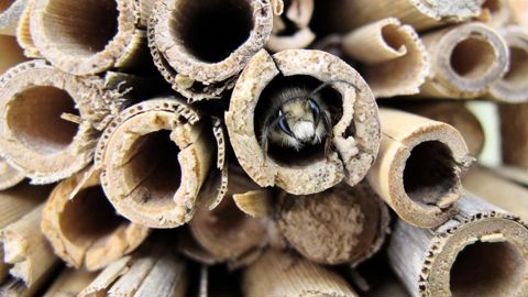 Les fonctionnalités écologiques d'un aménagement paysager doivent s'étudier dès la conception, en réunissant autour d'une table paysagiste, écologue, fournisseurs...