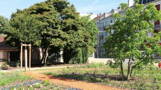 Une vraie place pour le végétal en ville : tel est l'objet de la pétition lancée par l'Unep sur internet.