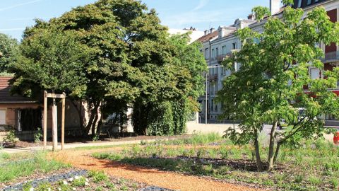 Une vraie place pour le végétal en ville : tel est l'objet de la pétition lancée par l'Unep sur internet.