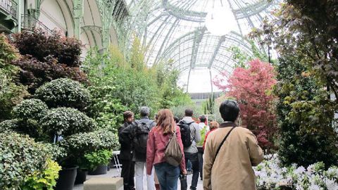 L'Art du Jardin s'était exposé en 2013 au Grand Palais, à Paris.PHOTO : GWENAËLLE ANDRÉ