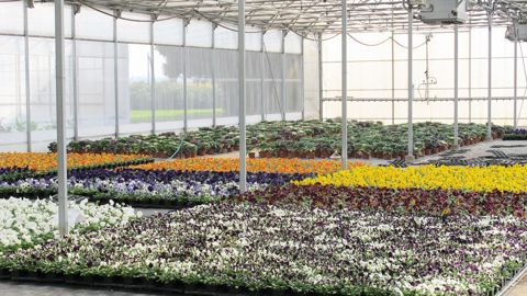 Il est possible de bénéficier des aides à l'investissement de FranceAgriMer jusqu'au 26 février prochain, alors que l'enveloppe globale a été abondée de 6 millions d'euros supplémentaires.