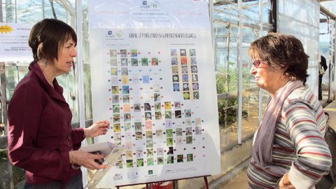 Ange Lhoste-Drouineau (à gauche), ingénieur d'expérimentation au Scradh, présente le poster sur la flore et la faune utiles à la protection des plantes. Le Scradh propose aux professionnels intéressés une souscription afin de soutenir l'édition du poster début 2014.