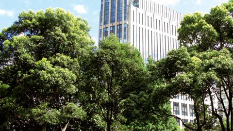 Le Manifeste pour une Cité Verte se positionne face à des logiques de développement urbain pas toujours raisonnées et raisonnables.