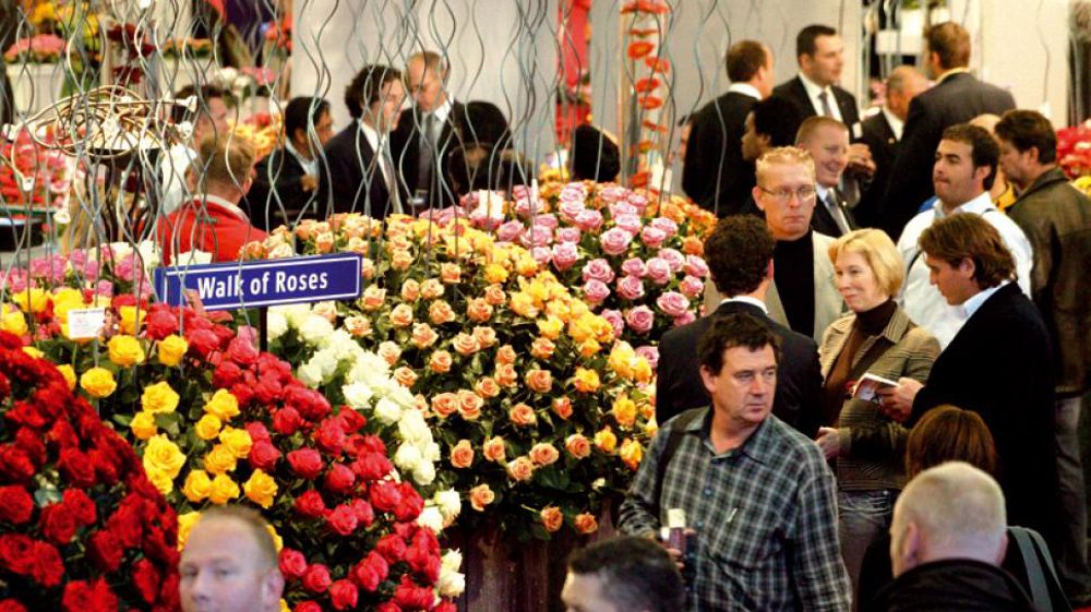 Horti Fair et FloraHolland Trade Fair se tiendront aux mêmes dates. Ils seront les deux évènements phares de l'HortiWeek.PHOTO : FRANCIS GINESTET