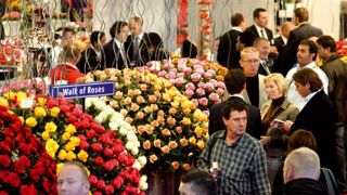 Horti Fair et FloraHolland Trade Fair se tiendront aux mêmes dates. Ils seront les deux évènements phares de l'HortiWeek.PHOTO : FRANCIS GINESTET