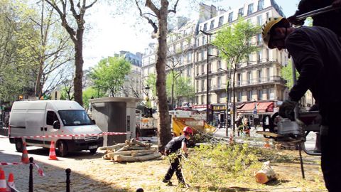 Pour tout savoir sur les règles professionnelles concernant l'élagage, rendez-vous à Paysalia, le mardi 3 décembre à 12 heures.