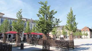 Pour préparer les paysages de demain, la palette végétale est au coeur des réflexions.