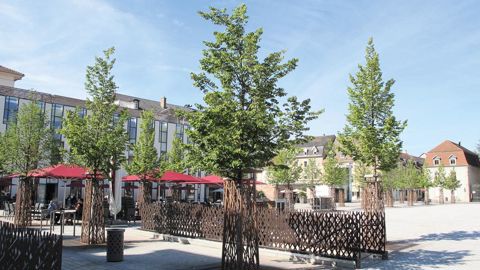 Pour préparer les paysages de demain, la palette végétale est au coeur des réflexions.