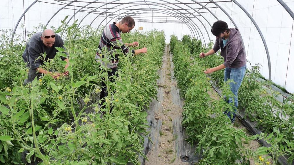 Face à un départ massif à la retraite, les entreprises (souvent petites avec 4 à 5 salariés) ont besoin de responsables de production capables de s'installer.PHOTO : CFPPA DE LA GIRONDE