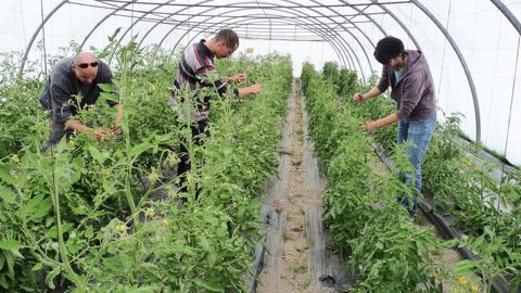 Face à un départ massif à la retraite, les entreprises (souvent petites avec 4 à 5 salariés) ont besoin de responsables de production capables de s'installer.PHOTO : CFPPA DE LA GIRONDE