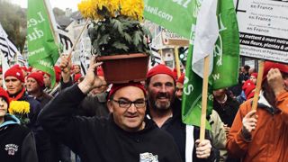 Plus de quatre cents horticulteurs ont manifesté à Carhaix, en Bretagne, le 15 novembre dernier, contre la hausse de la TVA prévue au 1er janvier 2014. Avec des bonnets rouges... coiffés de chrysanthèmes !PHOTO : HPF Plus de quatre cents horticulteurs ont manifesté à Carhaix, en Bretagne, le 15 novembre dernier, contre la hausse de la TVA prévue au 1er janvier 2014. Avec des bonnets rouges... coiffés de chrysanthèmes !PHOTO : HPF