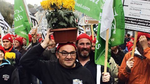 Plus de quatre cents horticulteurs ont manifesté à Carhaix, en Bretagne, le 15 novembre dernier, contre la hausse de la TVA prévue au 1er janvier 2014. Avec des bonnets rouges... coiffés de chrysanthèmes !PHOTO : HPF