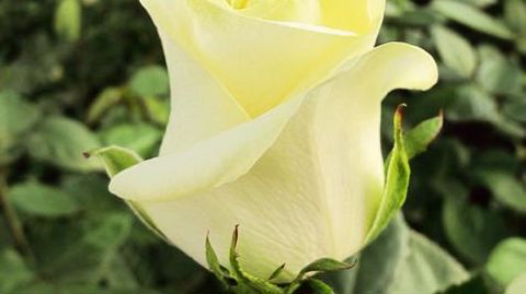 PHOTO : VALÉRIE VIDRIL