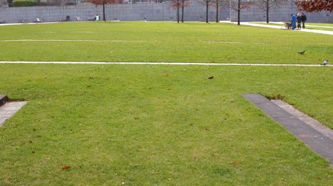 Rendements en baisse, surfaces cultivées moins importantes... Le prix des semences pour gazons a commencé à augmenter et cela devrait durer...