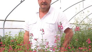 « Chez Lepage, nous cherchons avant tout à développer le système racinaire. Alors quand on parle de serre, il s'agit d'installations dont le toit se découvre entièrement et reste ouvert 90 % du temps », explique Christian Crépin, le directeur.PHOTO : ANNE MABIRE