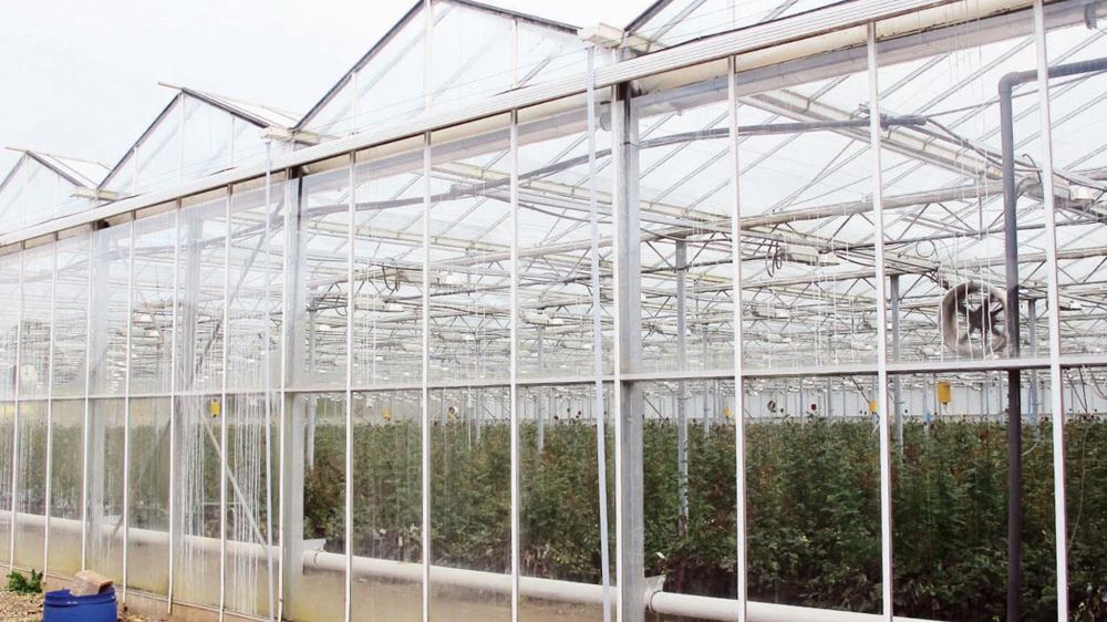Les terrains horticoles font partie du foncier non bâti ; ils sont exclus de la majoration de la taxe initialement prévue au début de l'année 2014. Les terrains horticoles font partie du foncier non bâti ; ils sont exclus de la majoration de la taxe initialement prévue au début de l'année 2014.