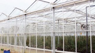 Les terrains horticoles font partie du foncier non bâti ; ils sont exclus de la majoration de la taxe initialement prévue au début de l'année 2014.