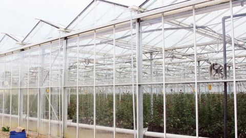 Les terrains horticoles font partie du foncier non bâti ; ils sont exclus de la majoration de la taxe initialement prévue au début de l'année 2014.