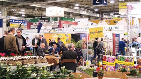 IPM Essen offre un aperçu complet du marché : plantes, équipements et fournitures pour la production et les jardineries, art floral... Il constitue également un lieu majeur d'échanges internationaux pour la filière.