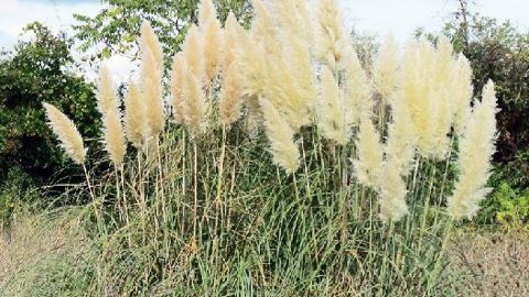 PHOTO : VALÉRIE VIDRIL