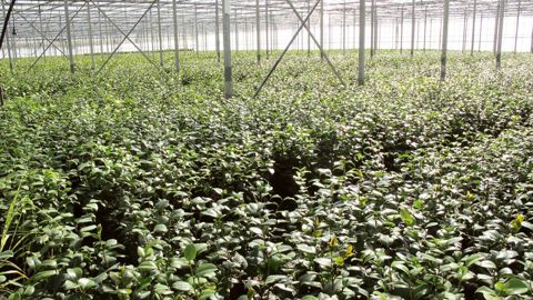 Product Proof permettra d'attester à un client spécifique que ses restrictions d'usages pour certaines substances actives ont été respectées.