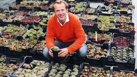 FrancK Poly a dû apprendre par lui-même tout l'aspect pratique et organisationnel. Aujourd'hui il présente, entre autres, une collection de 410 taxons de joubarbes (Sempervivum  et Jolibarb).