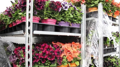 Orfidhorti permet une gestion en mode multicollecteur en fonction des zones de livraison de chaque adhérent. 