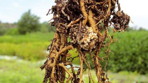 PHOTO : VALÉRIE VIDRIL