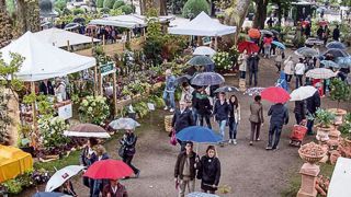 Malgré les conditions météo peu favorables, plus de 20 000 personnes ont visité Orticolario cette année.PHOTO : ORTICOLARIO