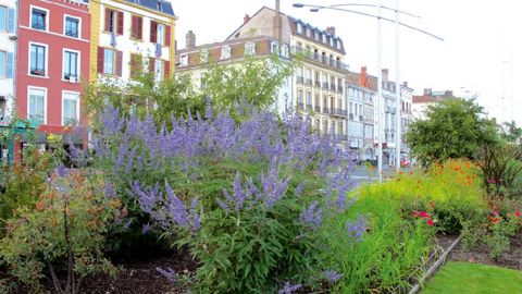 Les Villes fleuries (ici, Mâcon, 4 fleurs et Fleur d'Or cette année) attirent davantage les touristes que les localités non labellisées.